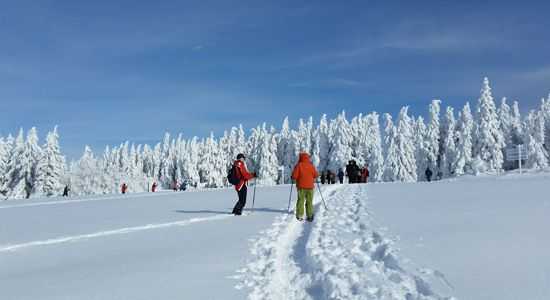 séminaire marchés de Noël Alsace